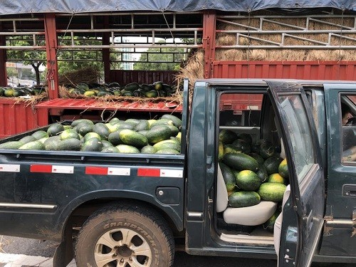 行善最樂，端午之際赫茲曼電力扶貧獻愛心