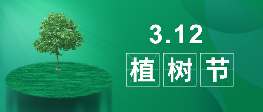 3.12植樹節(jié)|除了植樹，我們還能做什么？